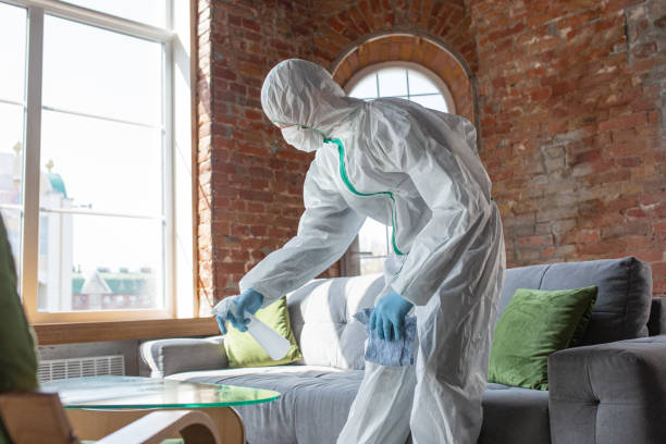 Best Black Mold Removal in Ashtabula, OH